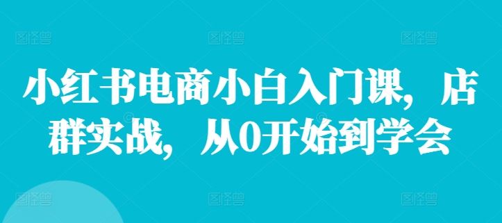 小红书电商小白入门课，店群实战，从0开始到学会-休闲网赚three