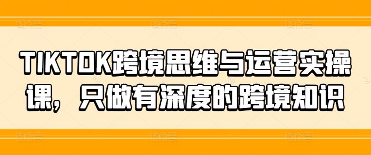 TIKTOK跨境思维与运营实操课，只做有深度的跨境知识-休闲网赚three