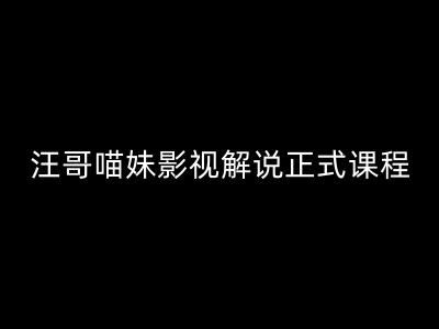 汪哥影视解说正式课程：剪映/PR教学/视解说剪辑5大黄金法则/全流程剪辑7把利器等等-休闲网赚three