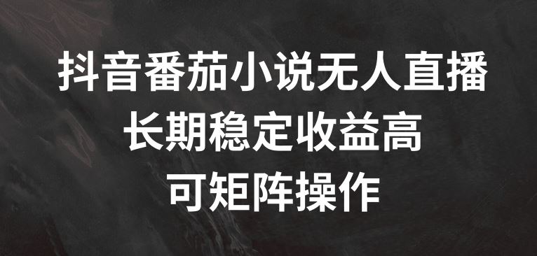 抖音番茄小说无人直播，长期稳定收益高，可矩阵操作【揭秘】-休闲网赚three