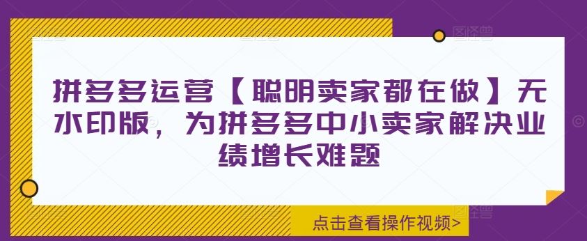 拼多多运营【聪明卖家都在做】无水印版，为拼多多中小卖家解决业绩增长难题-休闲网赚three