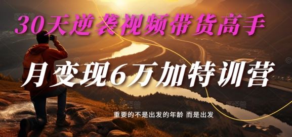 30天逆袭视频带货高手，单月变现6万加特训营-麦子甜-休闲网赚three