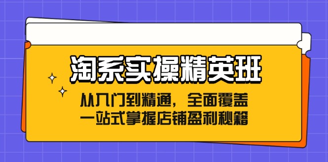 （12276期）淘系实操精英班：从入门到精通，全面覆盖，一站式掌握店铺盈利秘籍-休闲网赚three