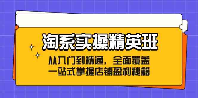 淘系实操精英班：从入门到精通，全面覆盖，一站式掌握店铺盈利秘籍-休闲网赚three