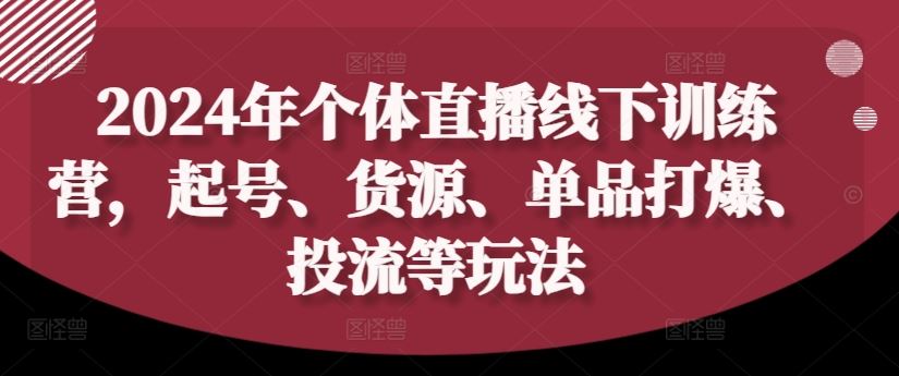 2024年个体直播训练营，起号、货源、单品打爆、投流等玩法-休闲网赚three