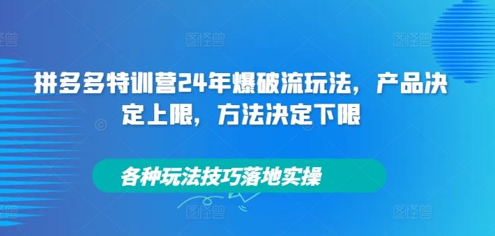 拼多多特训营24年爆破流玩法，产品决定上限，方法决定下限，各种玩法技巧落地实操-休闲网赚three