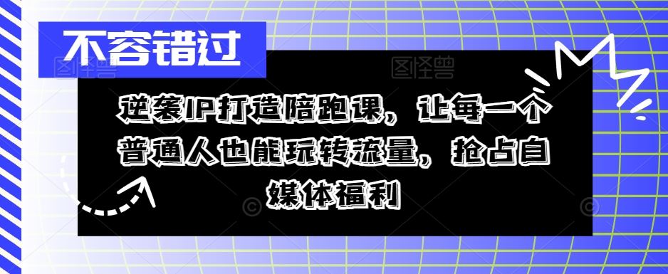 逆袭IP打造陪跑课，让每一个普通人也能玩转流量，抢占自媒体福利-休闲网赚three