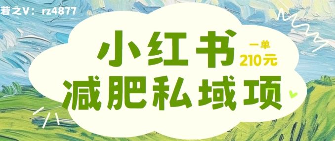 小红书减肥粉，私域变现项目，一单就达210元，小白也能轻松上手【揭秘】-休闲网赚three