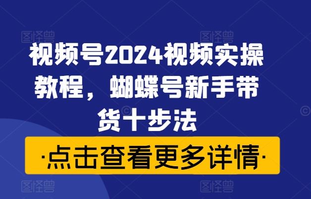 视频号2024视频实操教程，蝴蝶号新手带货十步法-休闲网赚three