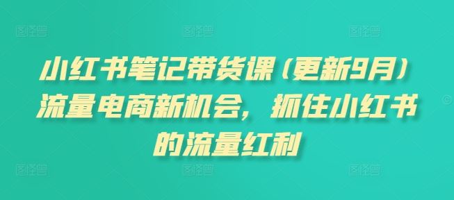 小红书笔记带货课(更新9月)流量电商新机会，抓住小红书的流量红利-休闲网赚three