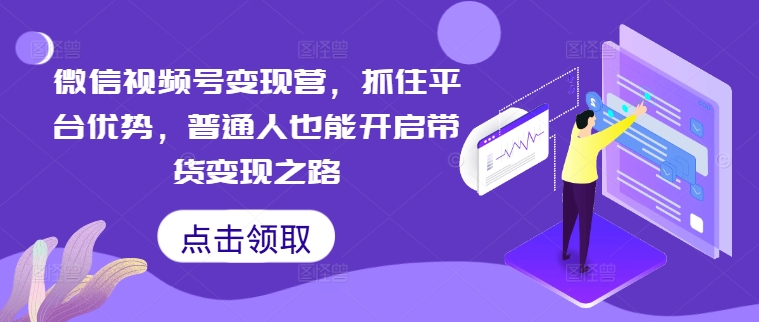 微信视频号变现营，抓住平台优势，普通人也能开启带货变现之路-休闲网赚three