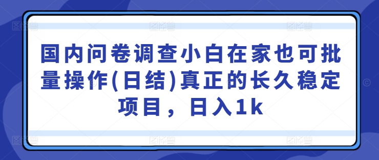 国内问卷调查小白在家也可批量操作(日结)真正的长久稳定项目，日入1k【揭秘】-休闲网赚three