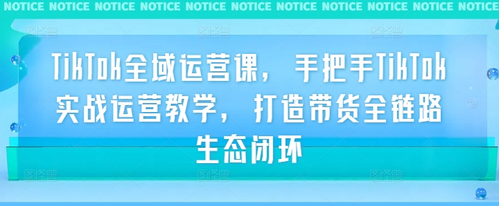 TikTok全域运营课，手把手TikTok实战运营教学，打造带货全链路生态闭环-休闲网赚three