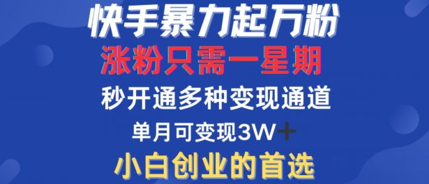 快手暴力起万粉，涨粉只需一星期，多种变现模式，直接秒开万合，单月变现过W【揭秘】-休闲网赚three