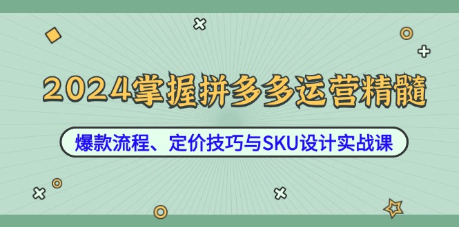 2024掌握拼多多运营精髓：爆款流程、定价技巧与SKU设计实战课-休闲网赚three