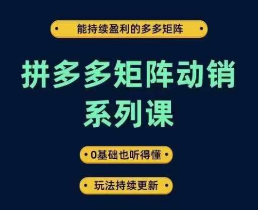 拼多多矩阵动销系列课，能持续盈利的多多矩阵，0基础也听得懂，玩法持续更新-休闲网赚three