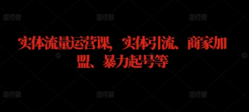 实体流量运营课，实体引流、商家加盟、暴力起号等-休闲网赚three