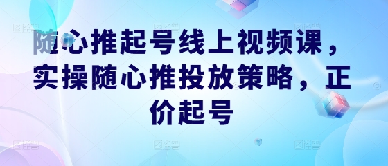 随心推起号线上视频课，实操随心推投放策略，正价起号-休闲网赚three